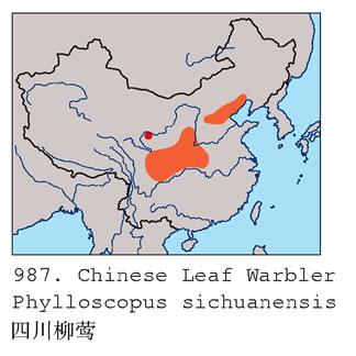 ������ݺ��ԭ�Ĵ���ݺ�������ֲ�ͼ