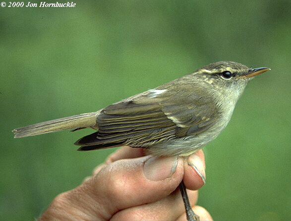 ˫������ݺ�������ຣ���Ĵ��߾���