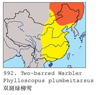 ˫������ݺ