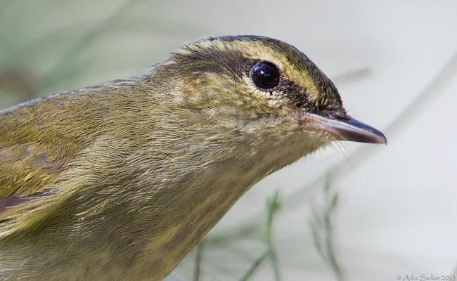 ������ݺ������ӡ�ȣ�