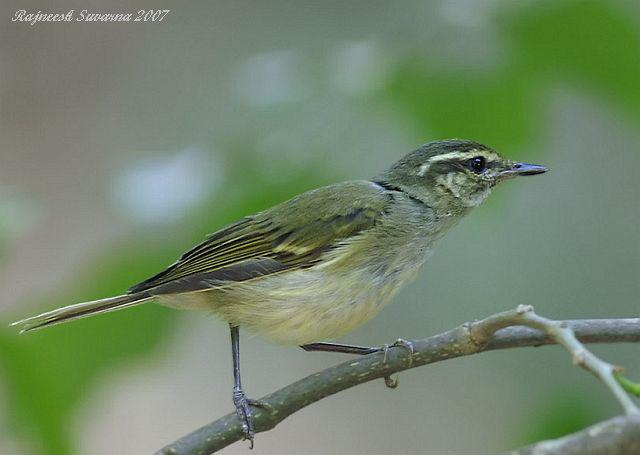 ������ݺ������ӡ�ȣ�