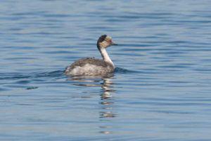 ��ͷ�G�f������