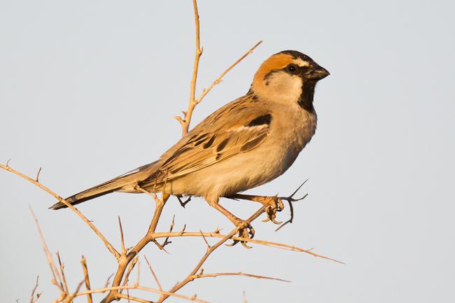 �ڶ���ȸ������