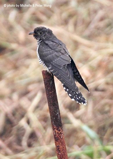 С�ž飺����