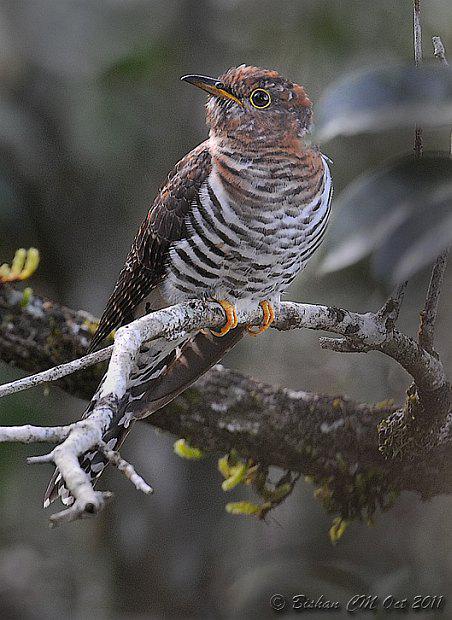 С�ž飺����