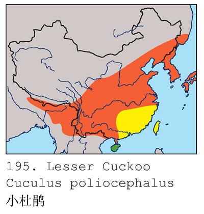 С�ž�����ֲ�ͼ