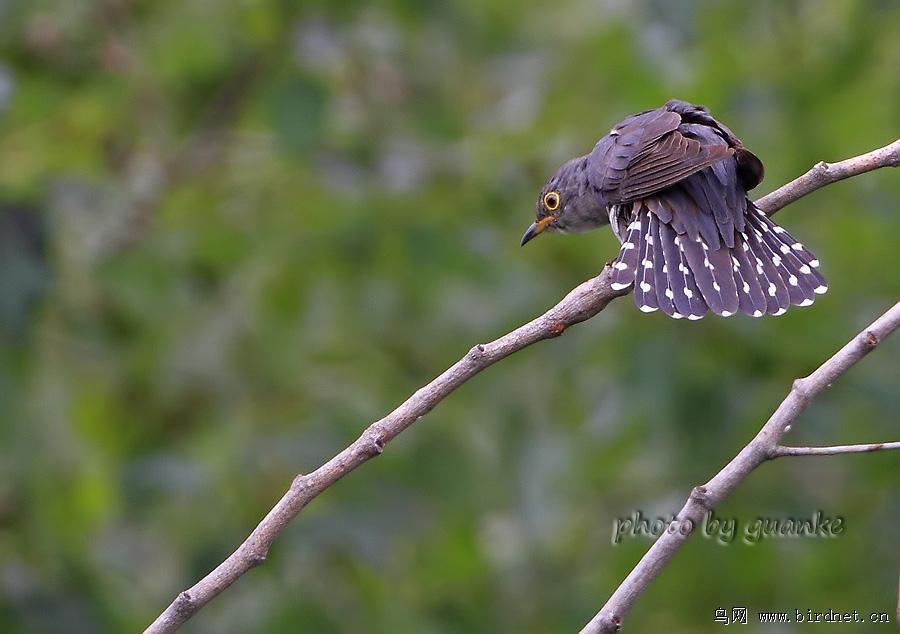 С�ž飬��Ӱ�ذ���