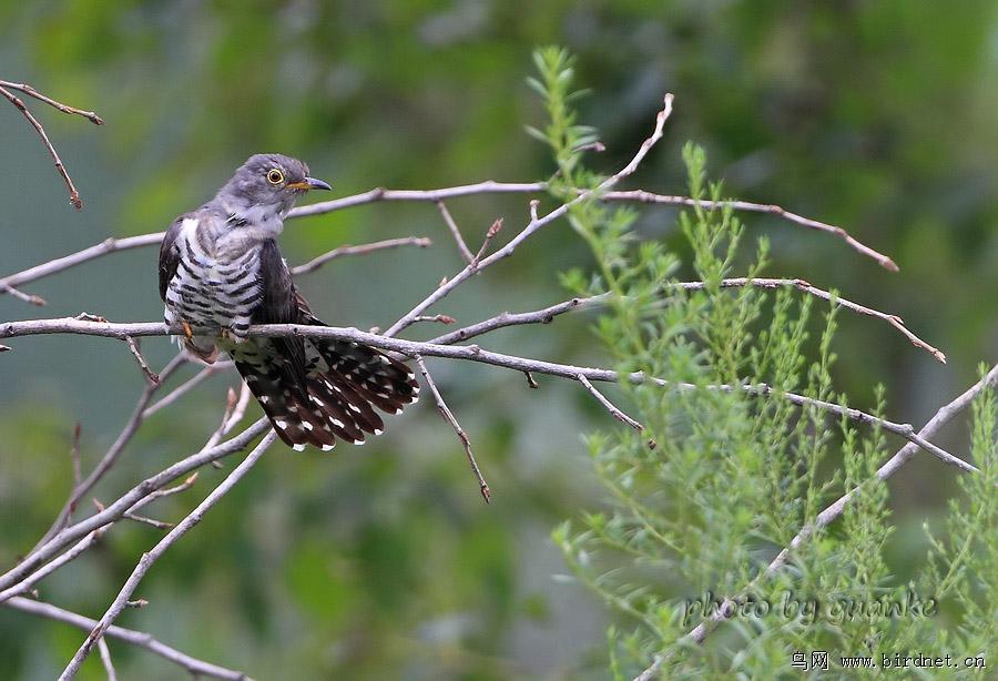 С�ž飬��Ӱ�ذ���