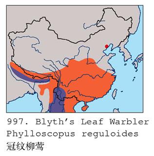 ������ݺ