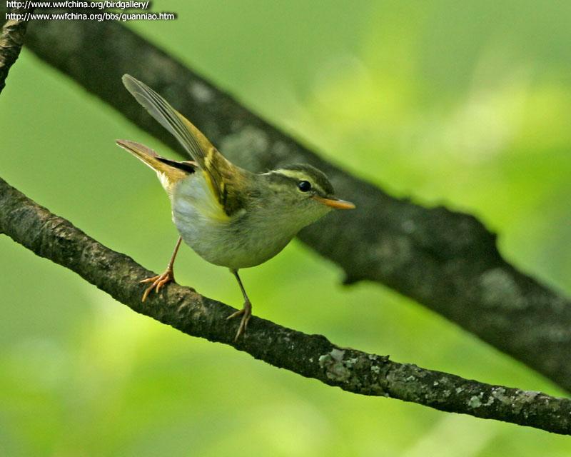 ������ݺ