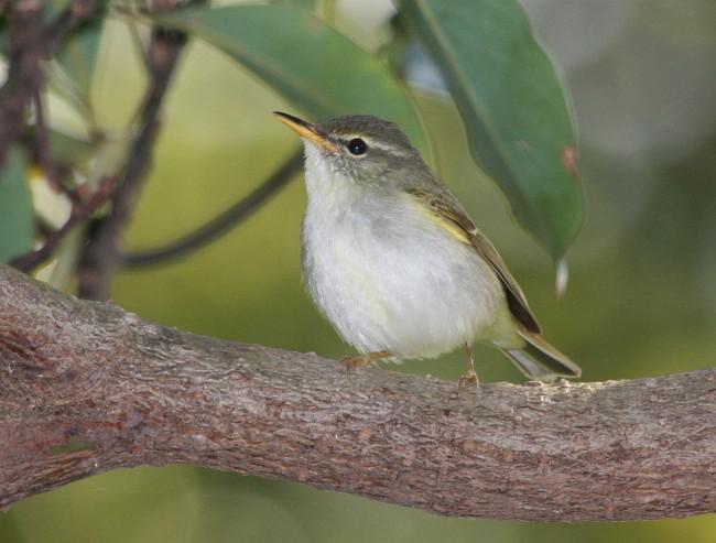 ������ݺ�������ձ�����