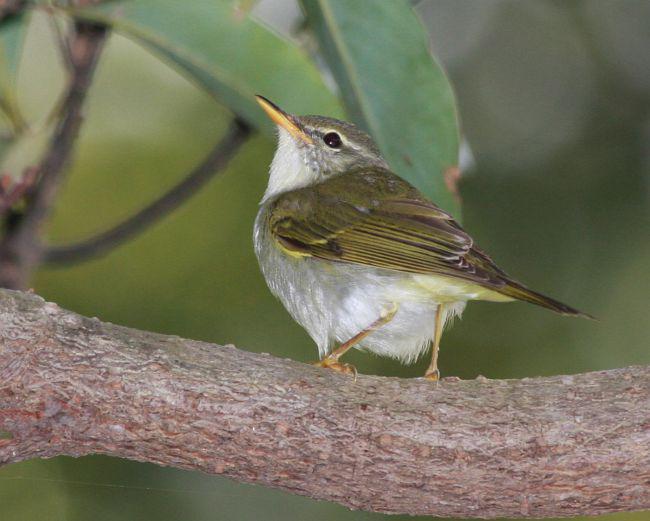 ������ݺ�������ձ�����