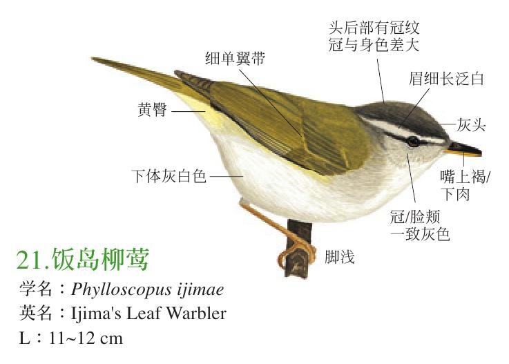 ������ݺ