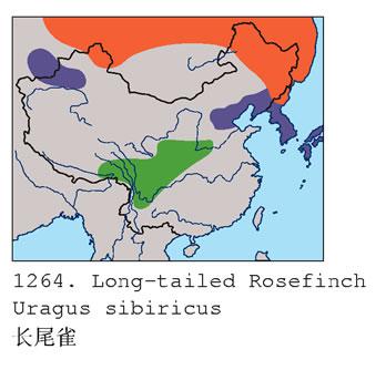 ��βȸ�����ֲ�ͼ