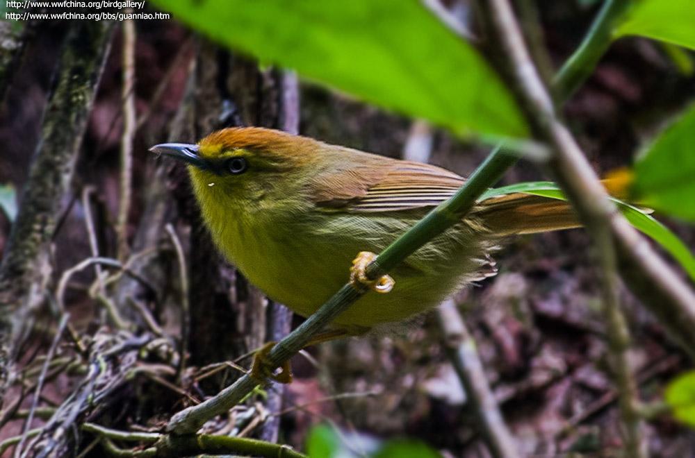 ���ؾ��̵�ͼƬ