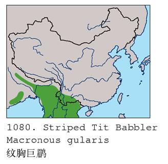 ���ؾ���