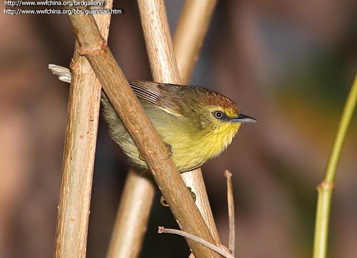 ���ؾ���