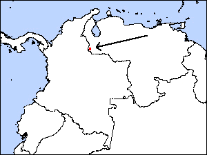 ί���������ֲ���