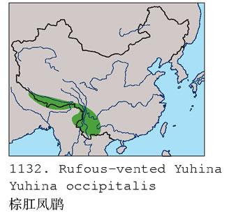 ���η���