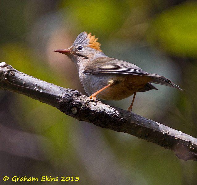 ���η���