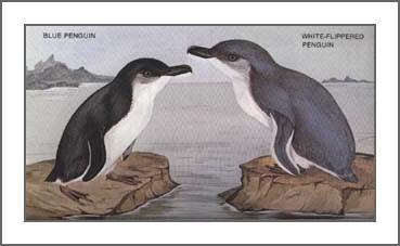 ��ΪС����죬��Ϊ������죨���ߴ���Ե�а�Ȧ��