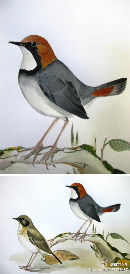 ��ͷ����ˮ�ʻ������ߣ��ػ��̶�