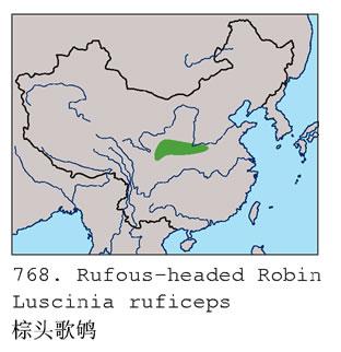 ��ͷ�������ֲ�ͼ