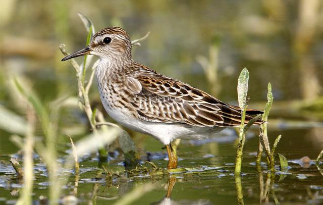 ��ֺ���֣��ǳ���