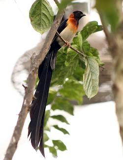 ��βά��ȸ��ͼƬ