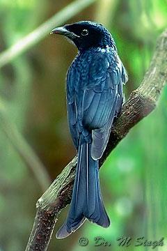 ѻ���β��ͼƬ