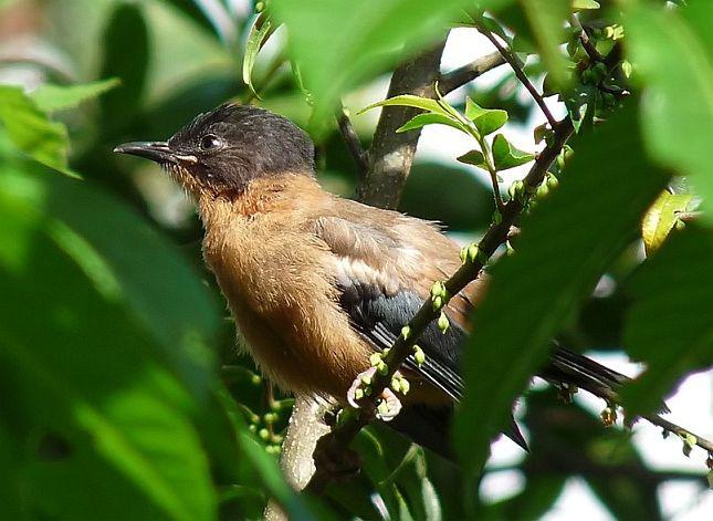 �ڶ����̣��ǳ���