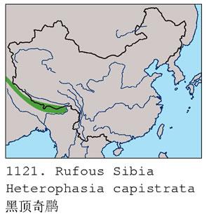 �ڶ����̵����ֲ�ͼ