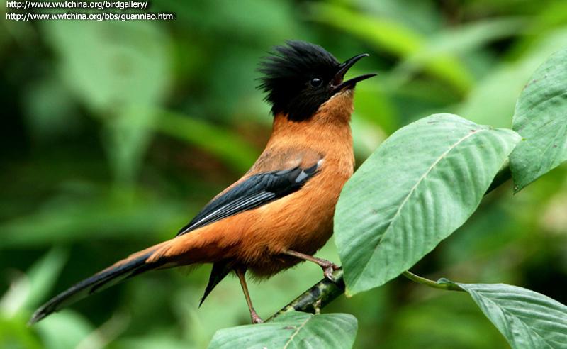 �ڶ�����