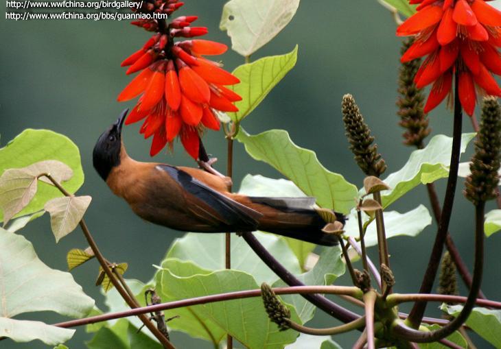 �ڶ�����