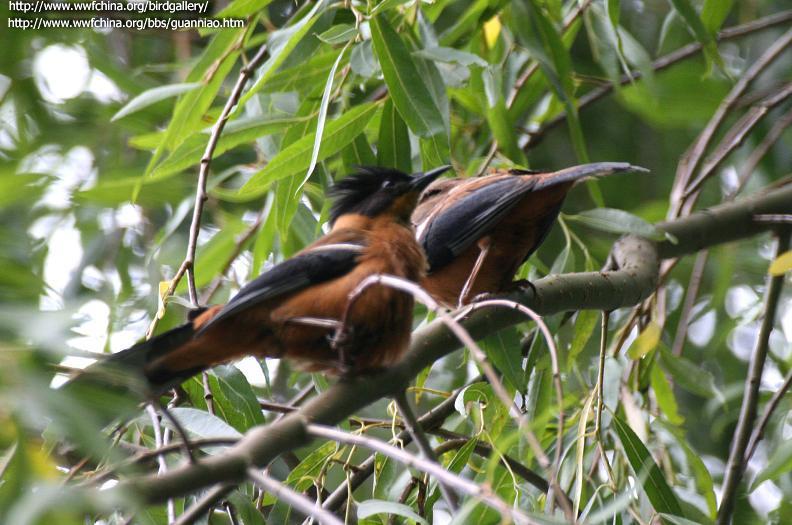 �ڶ�����