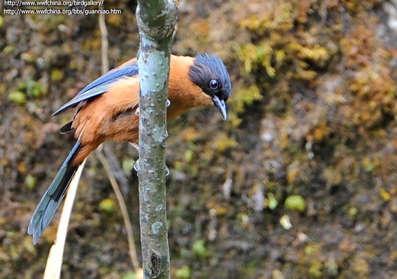 �ڶ�����