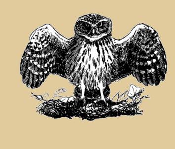 ���Ƹ�С�^���ڰ׻�ͼ