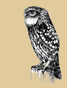 ���Ƹ�С�^���ڰ׻�ͼ