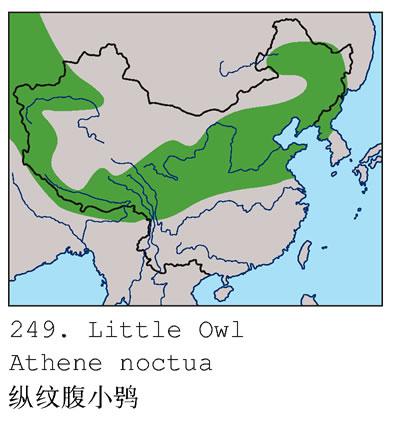 ���Ƹ�С�^