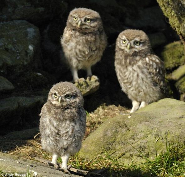 �����ꤵ����Ƹ�С�^��������ĸ��������