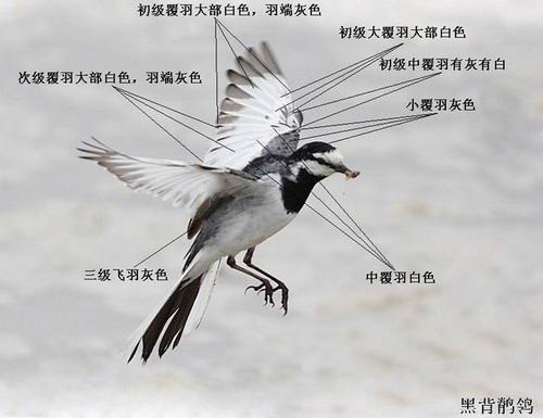 �ڱ����n�_