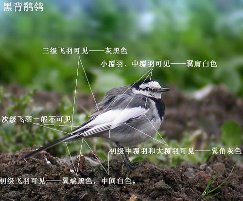 �ڱ����n�_