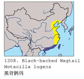 �ڱ����n�_