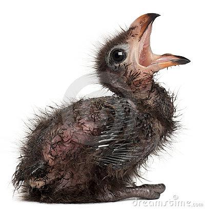 ���Ͻ���