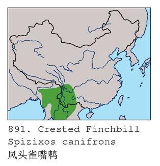 ��ͷȸ����