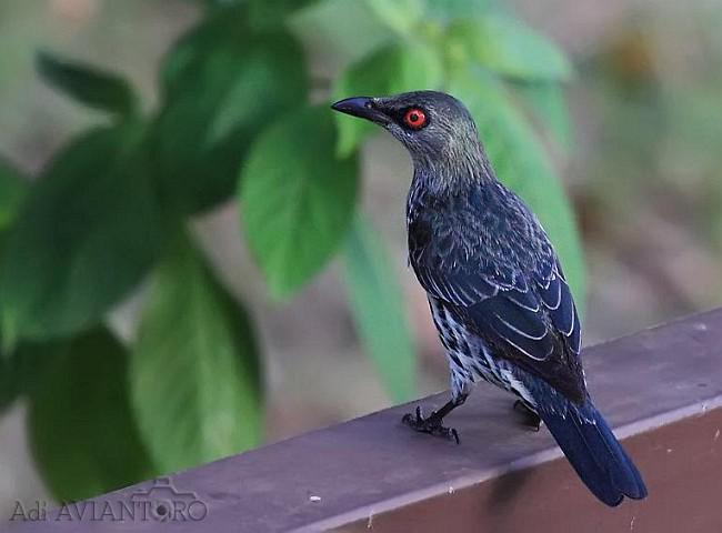 ���޻�����ǳ���