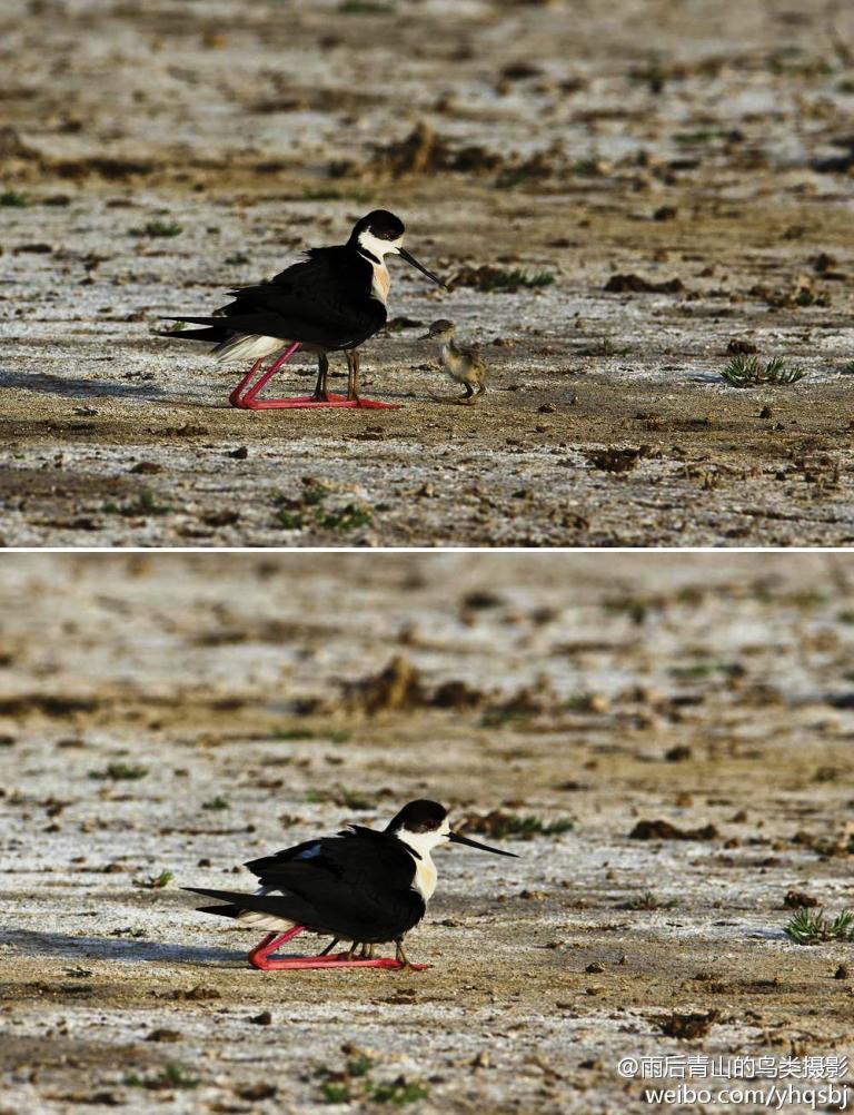 �ڳ᳤����