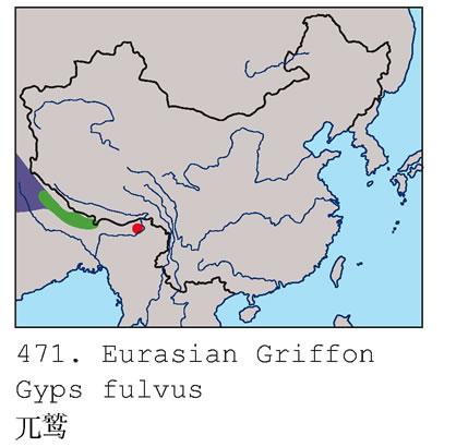 ����أ��