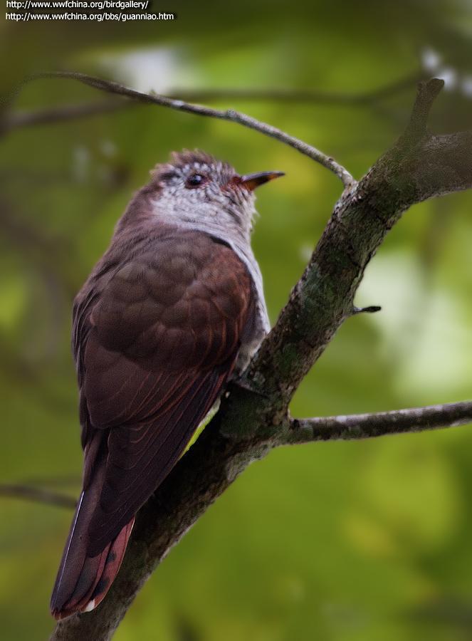 �Ͻ�飺����