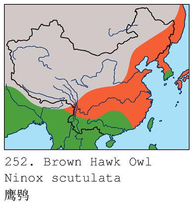 ӥ�^�����ֲ�ͼ